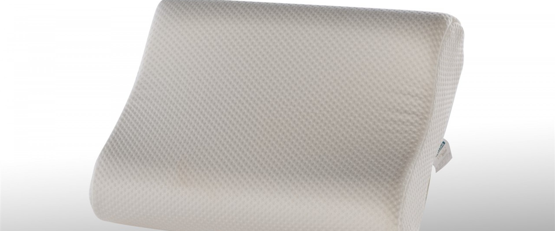 Viscoform Yastik Evimpark Bellona