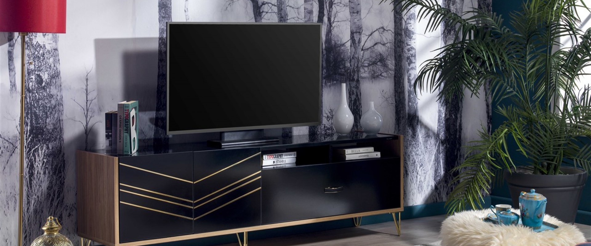 Viva Plazma Tv Unitesi Evimpark Bellona