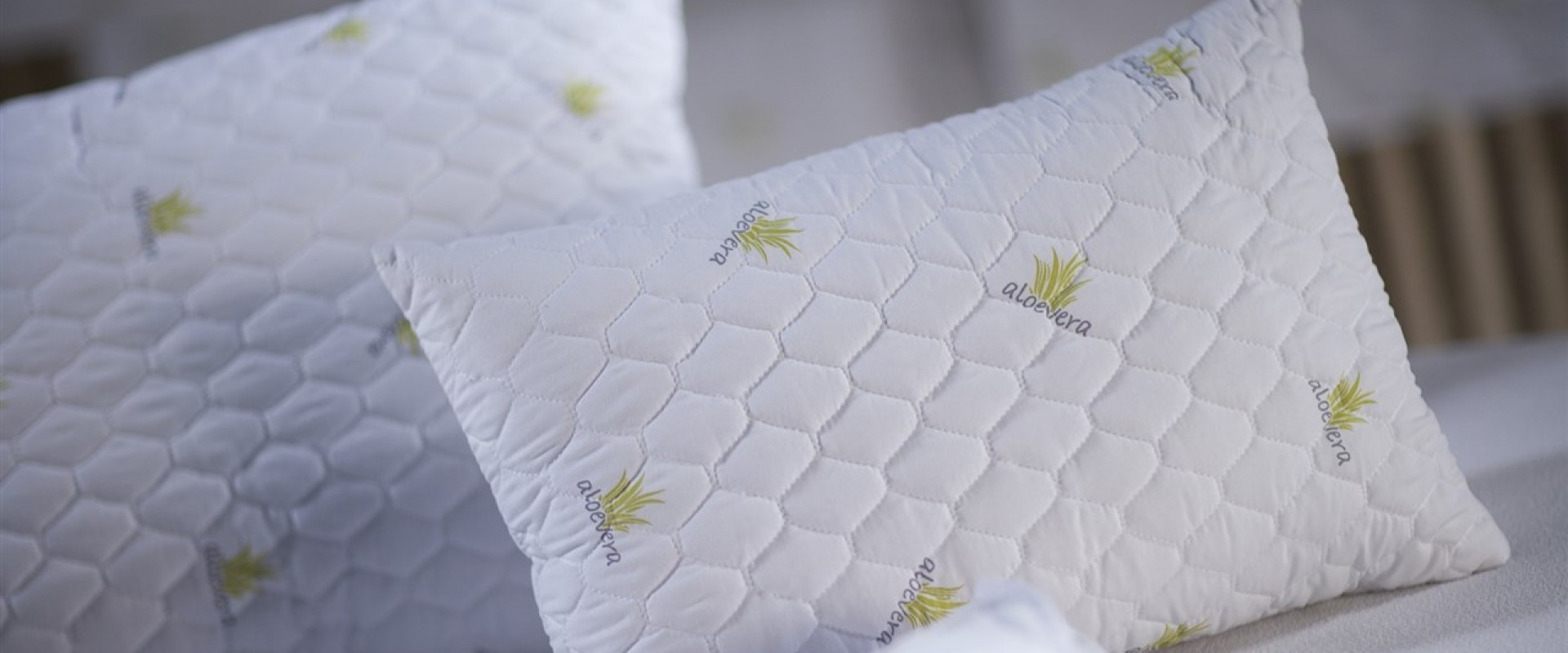 Aloe Vera Bebek Yastigi Evimpark Bellona