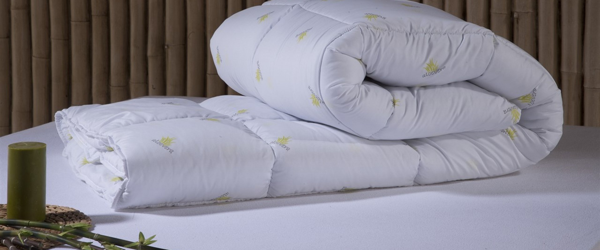 Aloe Vera Yorgan Evimpark Bellona